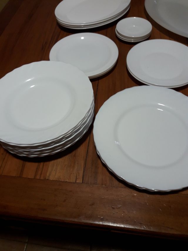 PLATOS Y FUENTES ARCOPAL ( SPAIN )