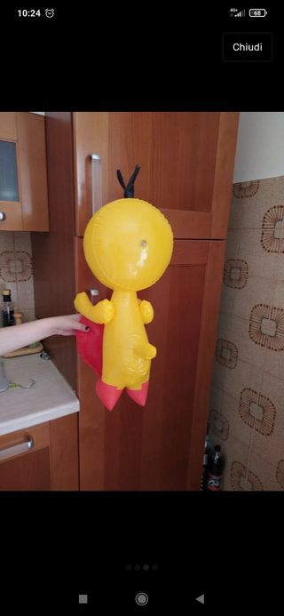 gonfiabile mare Titti