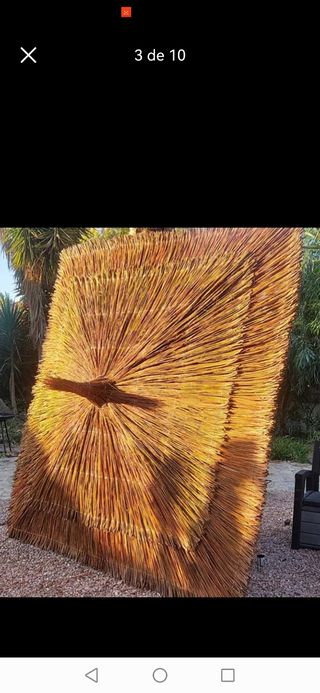 seacen sombrillas de brezo, carrixt, mimbre