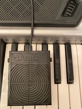 Teclado Casio CTK-481