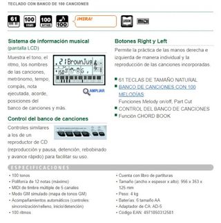 Teclado Casio CTK-481