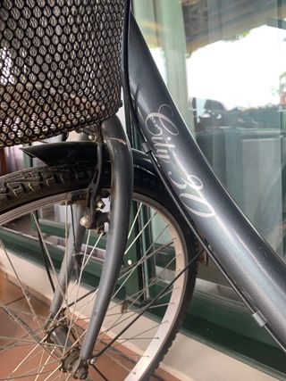 Bicicleta y cestillo. No tiene nada roto.