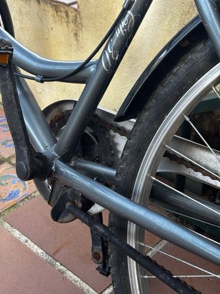 Bicicleta y cestillo. No tiene nada roto.