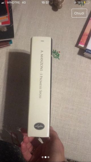 I Pronessi Sposi A.M