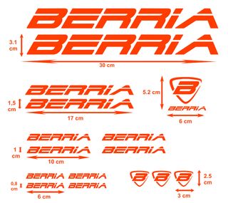 pegatinas para bicicleta BERRIA