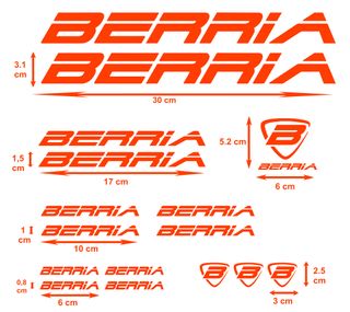 Kit para bicicleta BERRIA