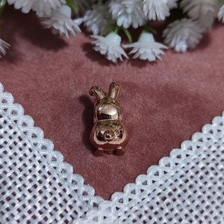 Charm año chino del conejo