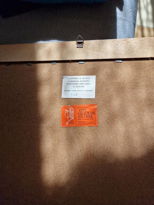 quadro cassinari vettor m