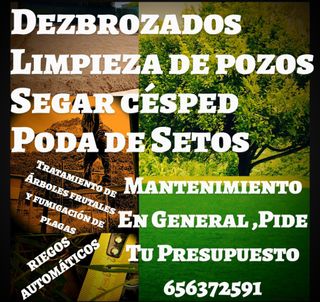 Jardínero a buen precio pide tu presupuesto