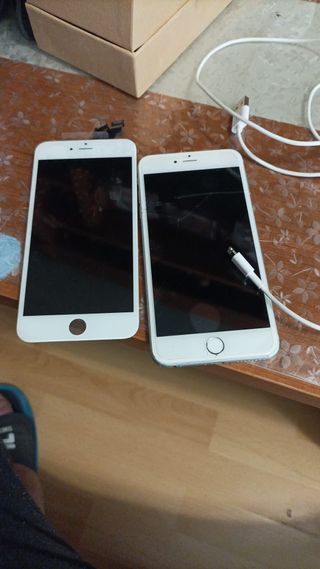 iPhone 6 Plus