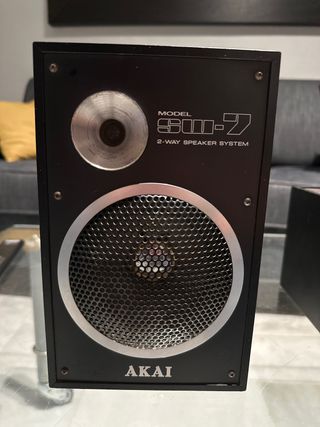 AKAI SW-7 pareja altavoces / columnas