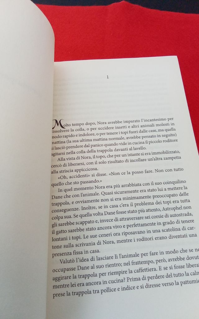 L anello dei Faitoren 