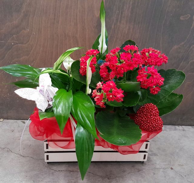 portavaso in legno cassettina