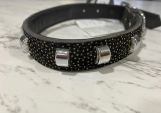 Collar perro tachuelas 