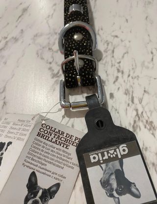 Collar perro tachuelas 