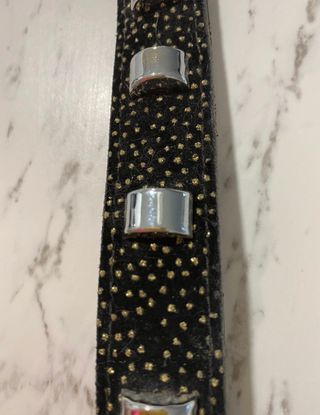 Collar perro tachuelas 