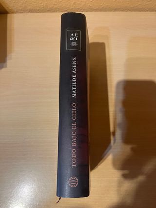 Todo bajo el cielo. Matilde Asensi