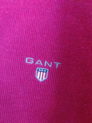 JERSEY GANT