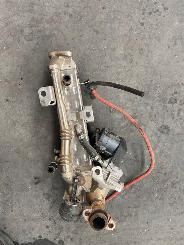 Válvula EGR con el enfriador