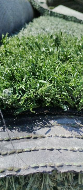 CÉSPED♻️ SIN LÍNEAS