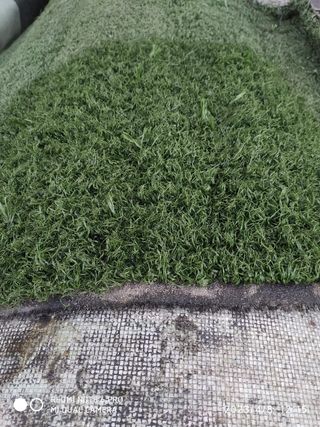 CÉSPED♻️ SIN LÍNEAS