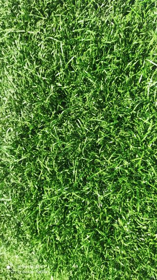 CÉSPED♻️ SIN LÍNEAS