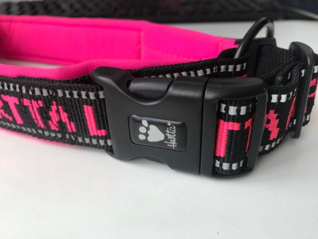 Collar perro Hurtta 60 cm