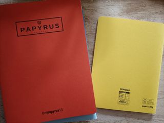lote 10 cuadernos papyrus