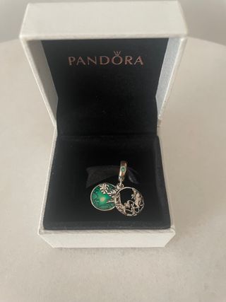 Charm de Pandora
