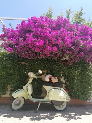 alquiler vespa eventos