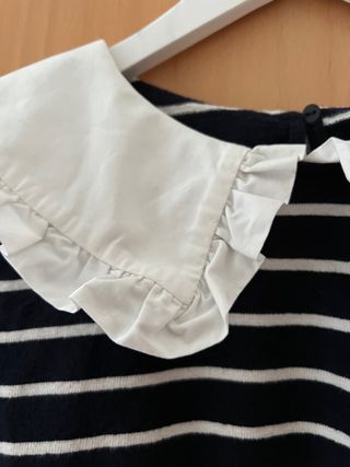 Jersey mango 