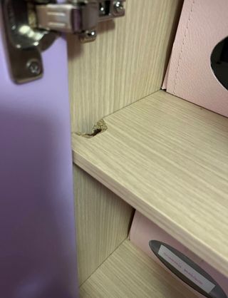 Cama nido