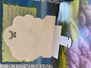 Pack 2 libros en francés