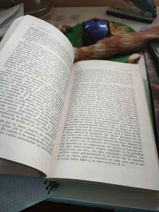 Psicología infantil