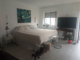 LOFT ÁTICO en venta con reforma integral hasta 3 h