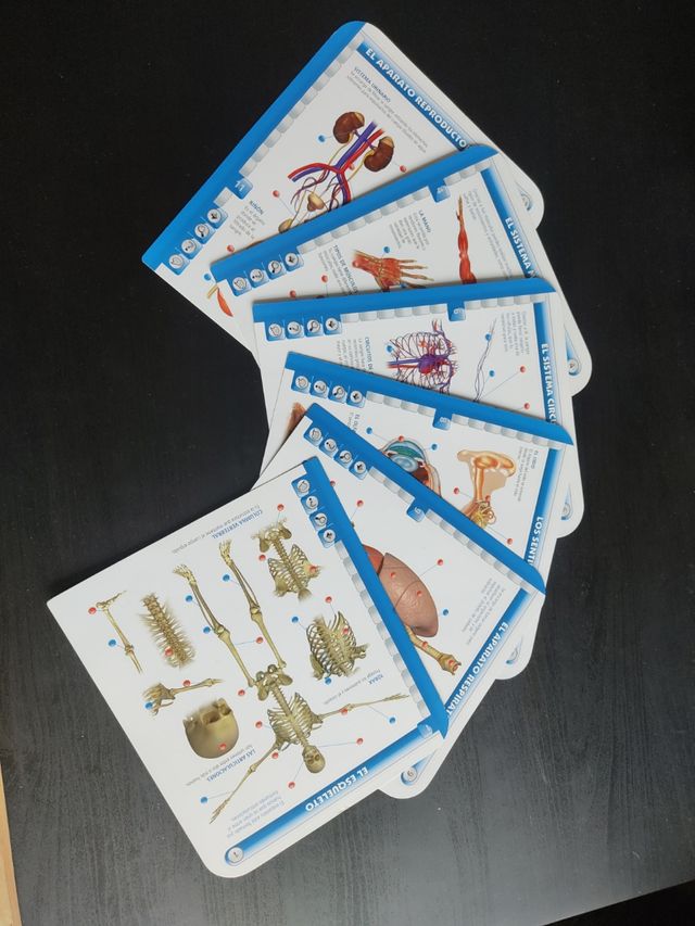 Cuerpo humano, Educa Touch