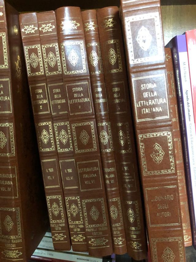 enciclopedia sulla storia della letteratura itali