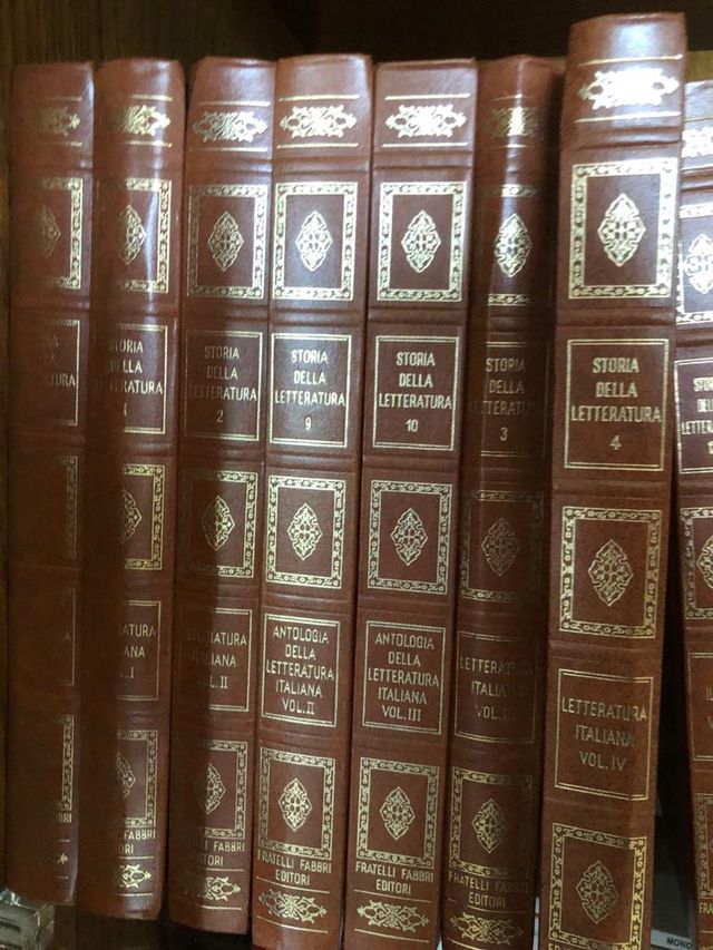 enciclopedia sulla storia della letteratura itali