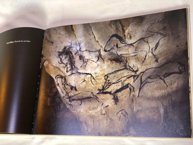 Cahier de Félins, Miquel Barceló