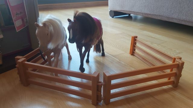 Lori establo caballos.