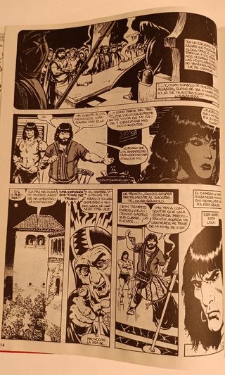 La espada salvaje de Conan El Bárbaro