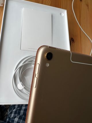 iPad Pro 10,5 4g 256gb dorado impoluto