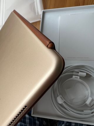 iPad Pro 10,5 4g 256gb dorado impoluto