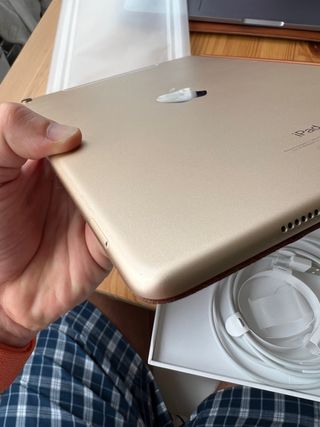 iPad Pro 10,5 4g 256gb dorado impoluto