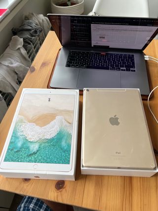 iPad Pro 10,5 4g 256gb dorado impoluto