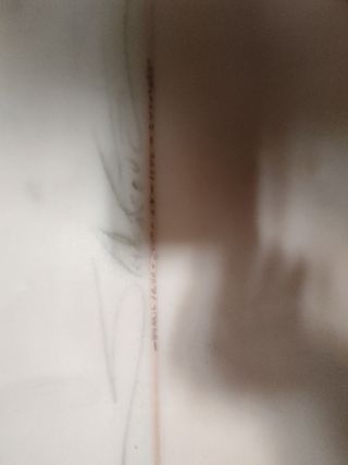 Tabla de surf y complementos