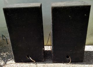 PARLANTES GRANDES EN CAJAS DE MADERA – PASIVOS