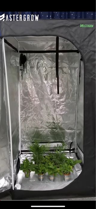 Kit cultivo 60x60x140 led full spectrum 90w