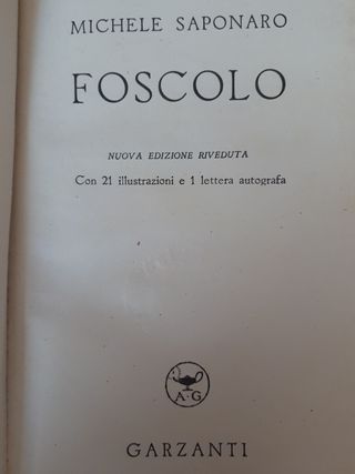 Foscolo #caricaEvinci