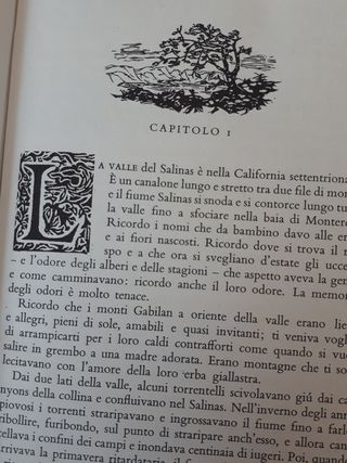 Selezione narrativa autori vari #caricaEvinci